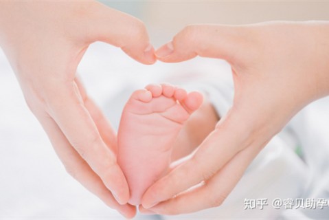 http://changzhou.51dzb.net/post/188.html|常州新闻中心